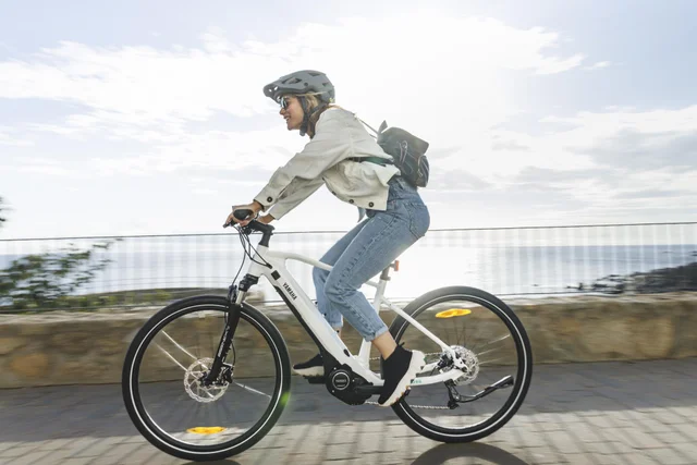 Alquiler de bicicletas eléctricas ebike | Trujbike